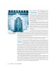 Aleppo - City of Scholars | Books | Judaica